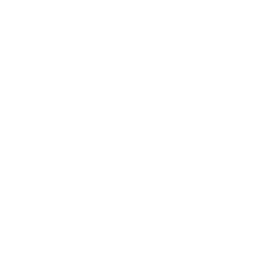 Cheetah digital