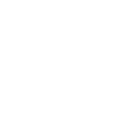 Sales Manago